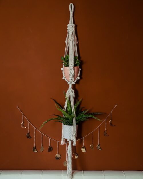 Twin Plant Hanger