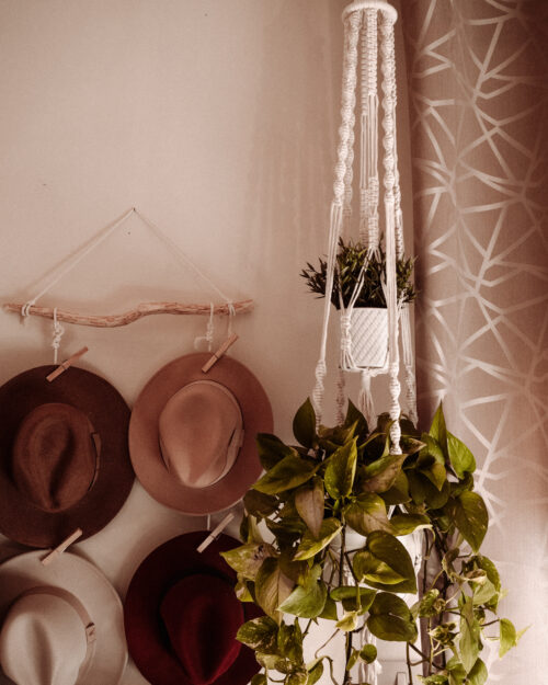 Large Twin Planthanger